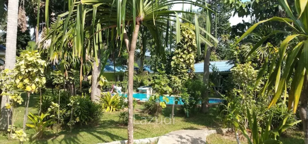 Oasis Resort : Your Investment Dream Come True