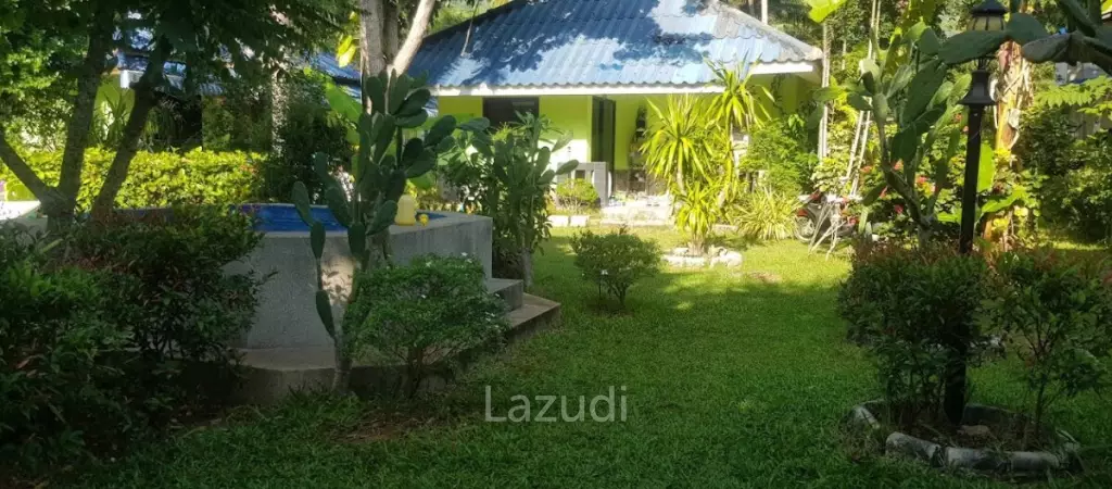 Oasis Resort : Your Investment Dream Come True