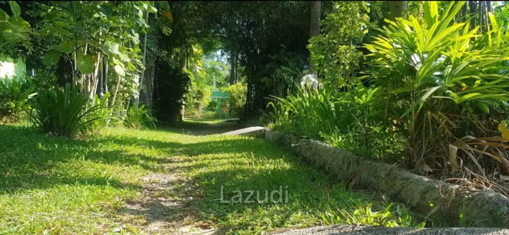 Oasis Resort : Your Investment Dream Come True