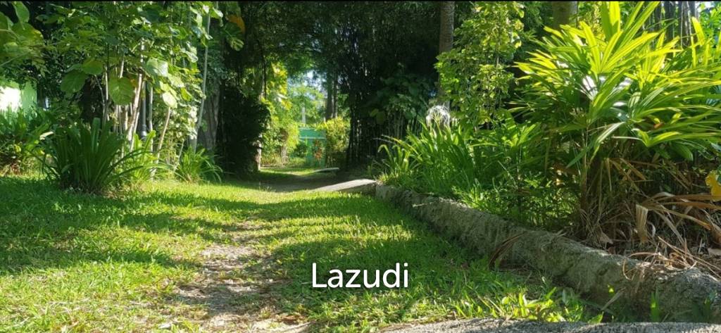 Oasis Resort : Your Investment Dream Come True