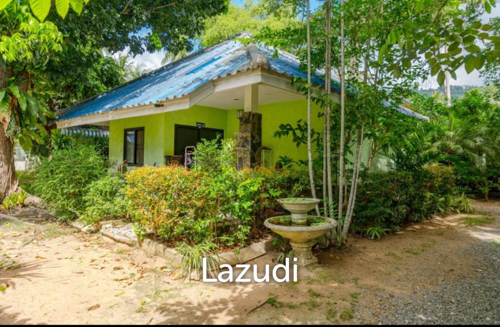 Oasis Resort : Your Investment Dream Come True