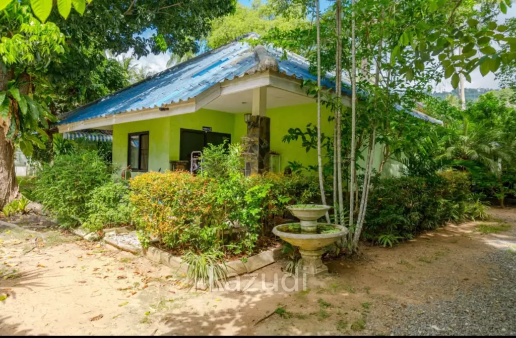 Oasis Resort : Your Investment Dream Come True