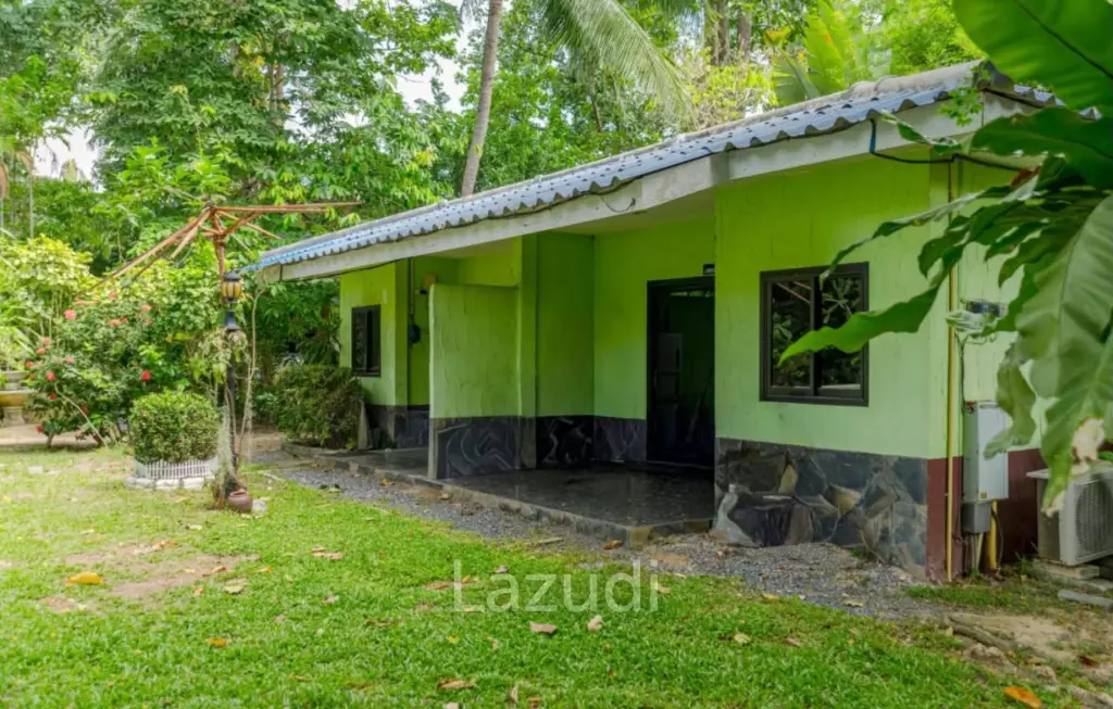 Oasis Resort : Your Investment Dream Come True