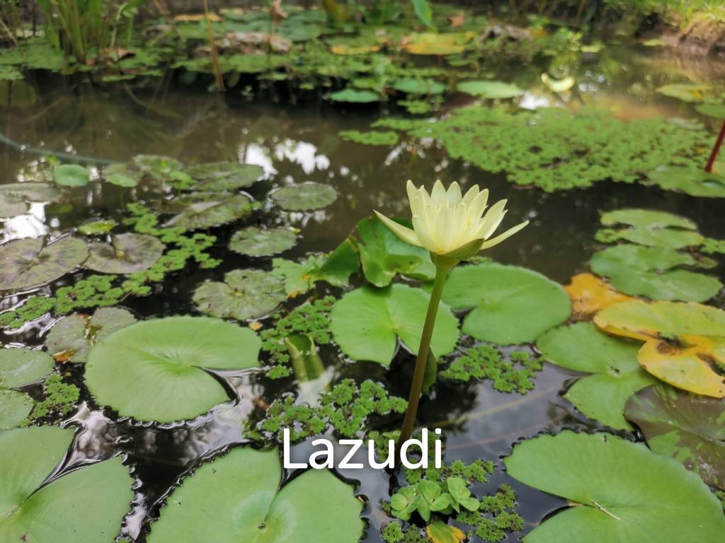 320 Sqm 2 Bed 2 Bath Villa For Sale