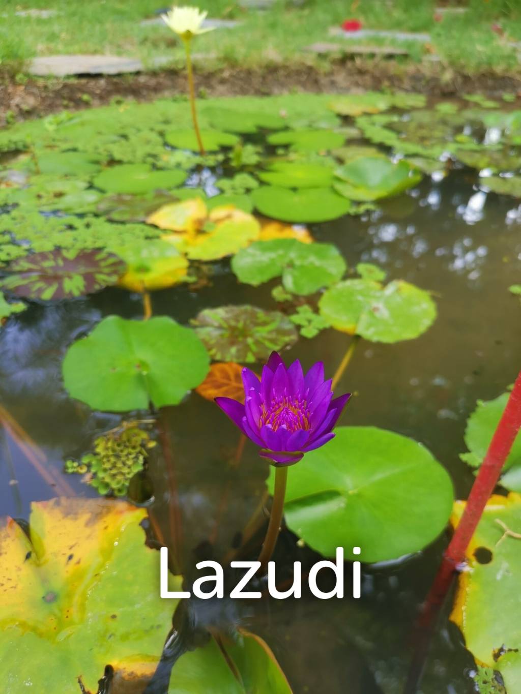 320 Sqm 2 Bed 2 Bath Villa For Sale