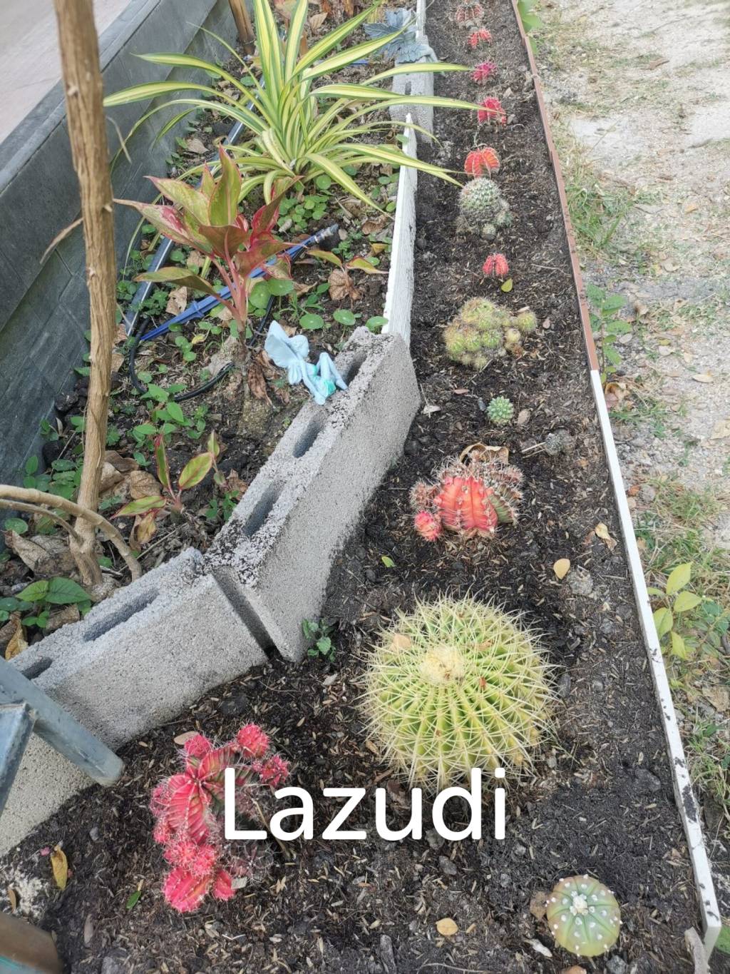 320 Sqm 2 Bed 2 Bath Villa For Sale