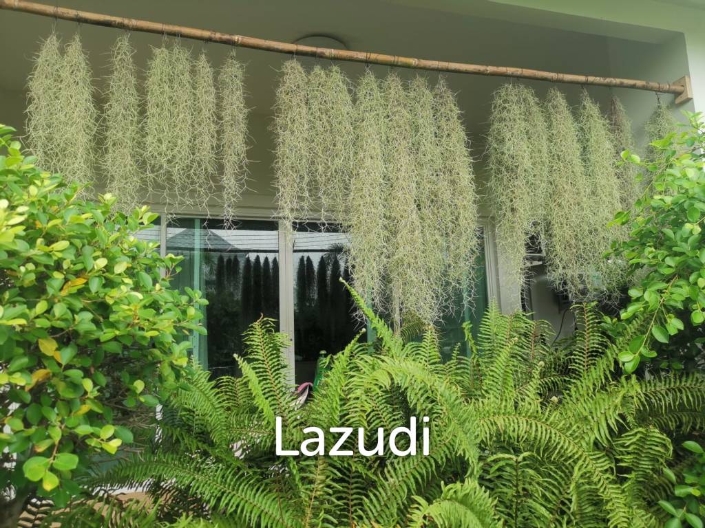 320 Sqm 2 Bed 2 Bath Villa For Sale