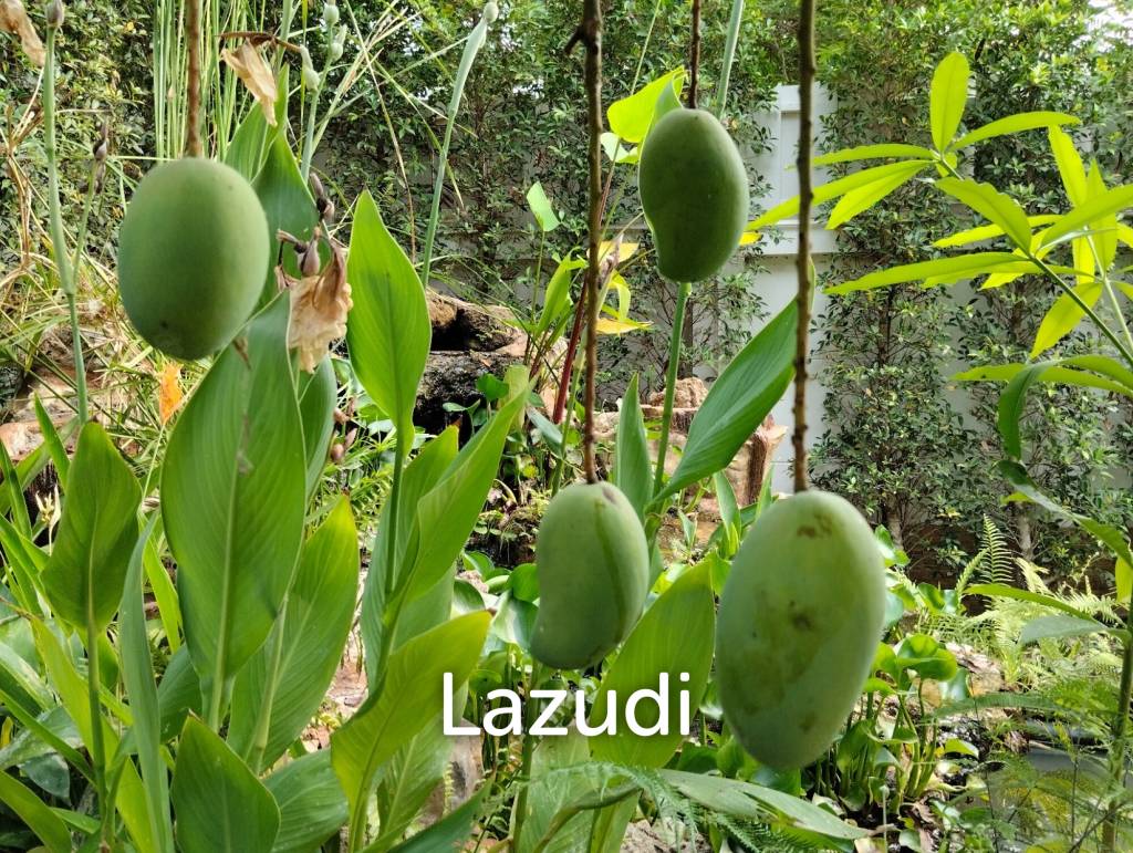 320 Sqm 2 Bed 2 Bath Villa For Sale