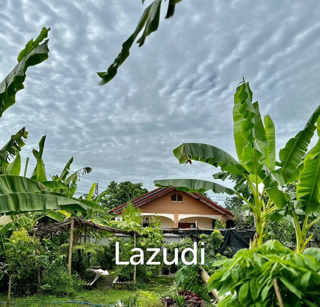 modern 4 bedroom family home close to ping river