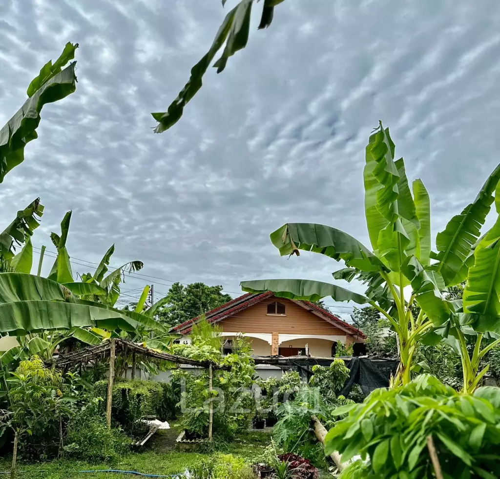 modern 4 bedroom family home close to ping river