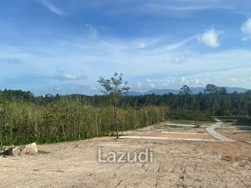 Prime 1600 SQ.M Land with Options Galore
