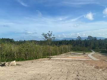 Prime 1600 SQ.M Land with Options Galore