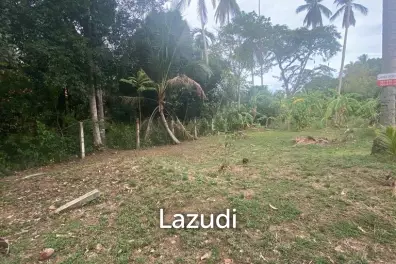 Serene Freehold Land - A Green Oasis Await