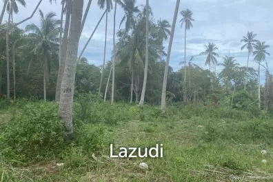 Serene Freehold Land - A Green Oasis Await
