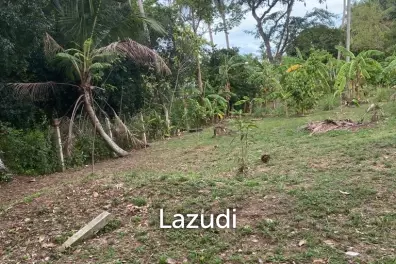 Serene Freehold Land - A Green Oasis Await