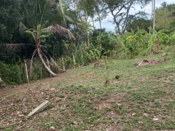 Serene Freehold Land - A Green Oasis Await