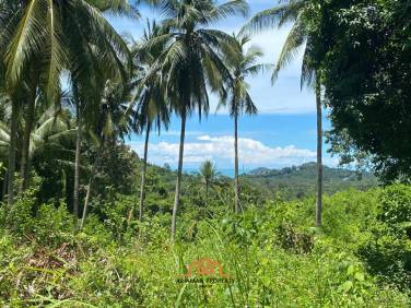 Seaside Sanctuary: 6,800 Sqm of Paradise with Road Access and Electricity in South Samui