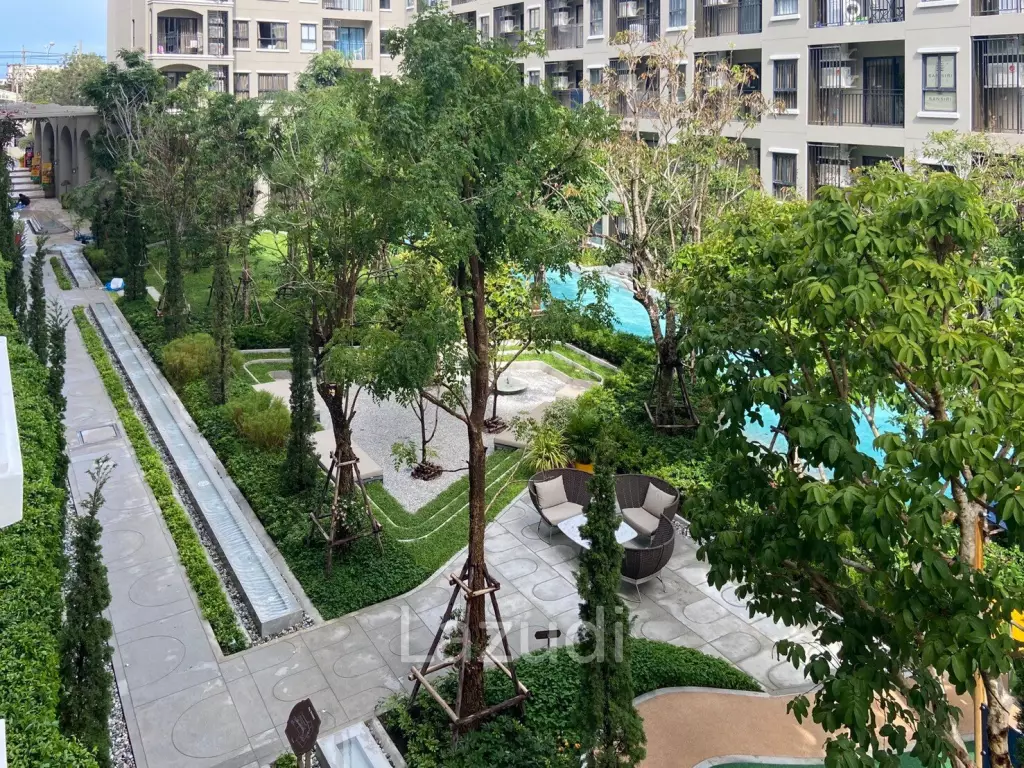La Casita : 1 Bedroom Condo With Pool View