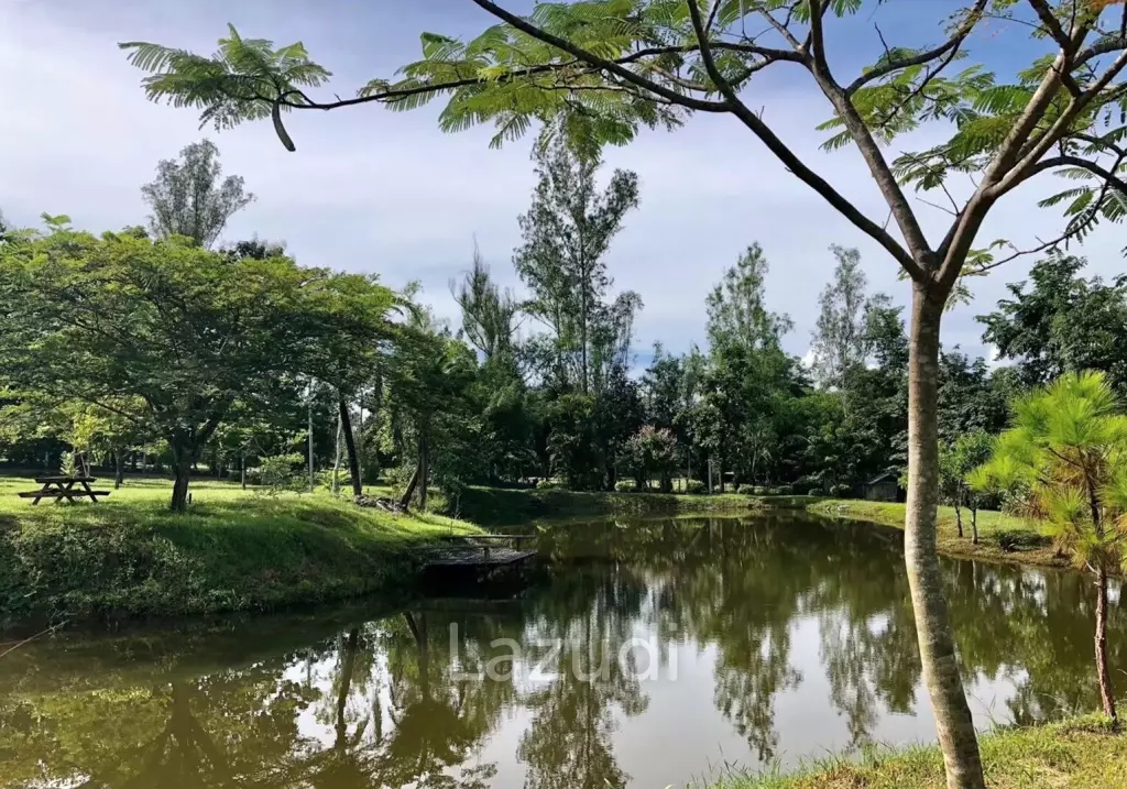 20 Rai Beautiful Land for Sale With Mountain View