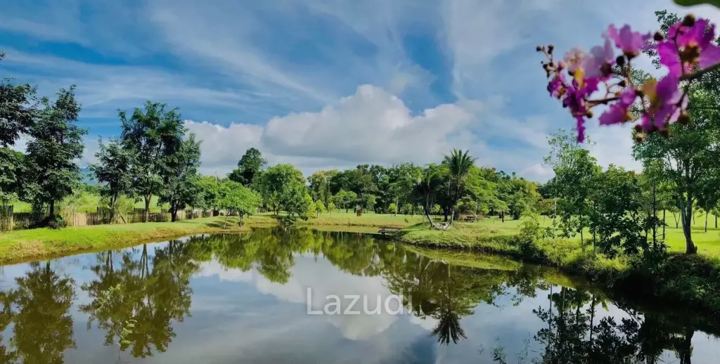 20 Rai Beautiful Land for Sale With Mountain View
