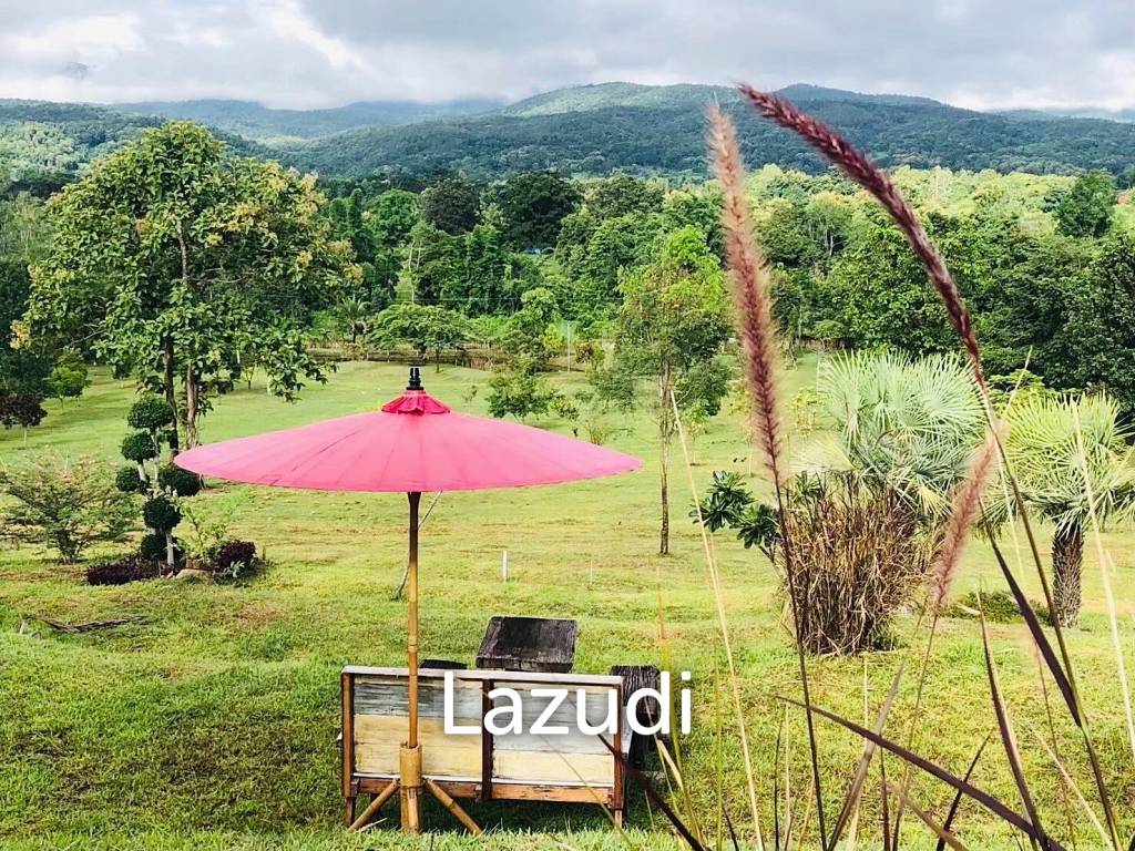 20 Rai Beautiful Land for Sale With Mountain View