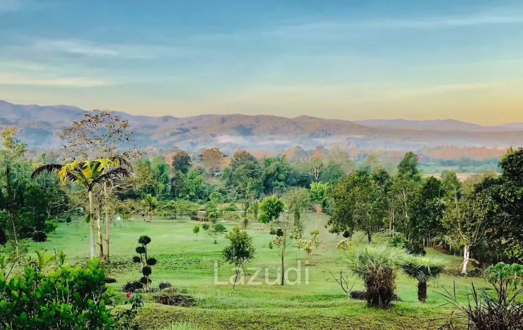20 Rai Beautiful Land for Sale With Mountain View