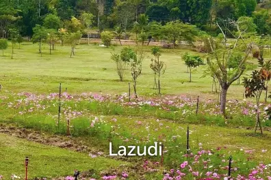 ขายที่ดินสวย 20 ไร่วิวดอยสุเทพที่ อ.แม่แตง