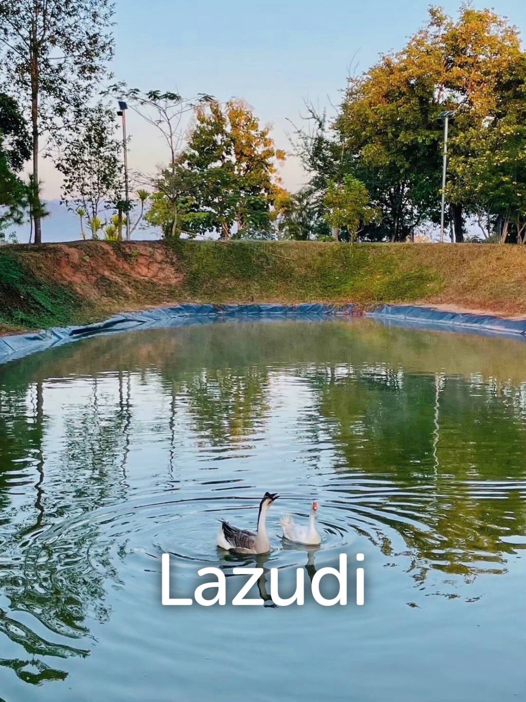 20 Rai Beautiful Land for Sale With Mountain View
