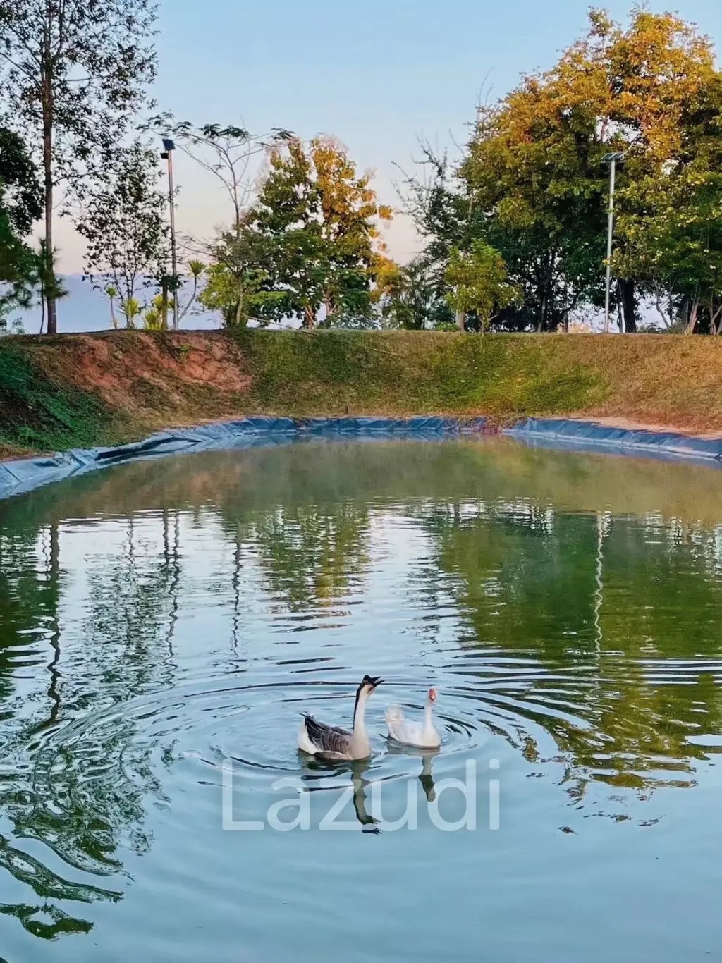 20 Rai Beautiful Land for Sale With Mountain View
