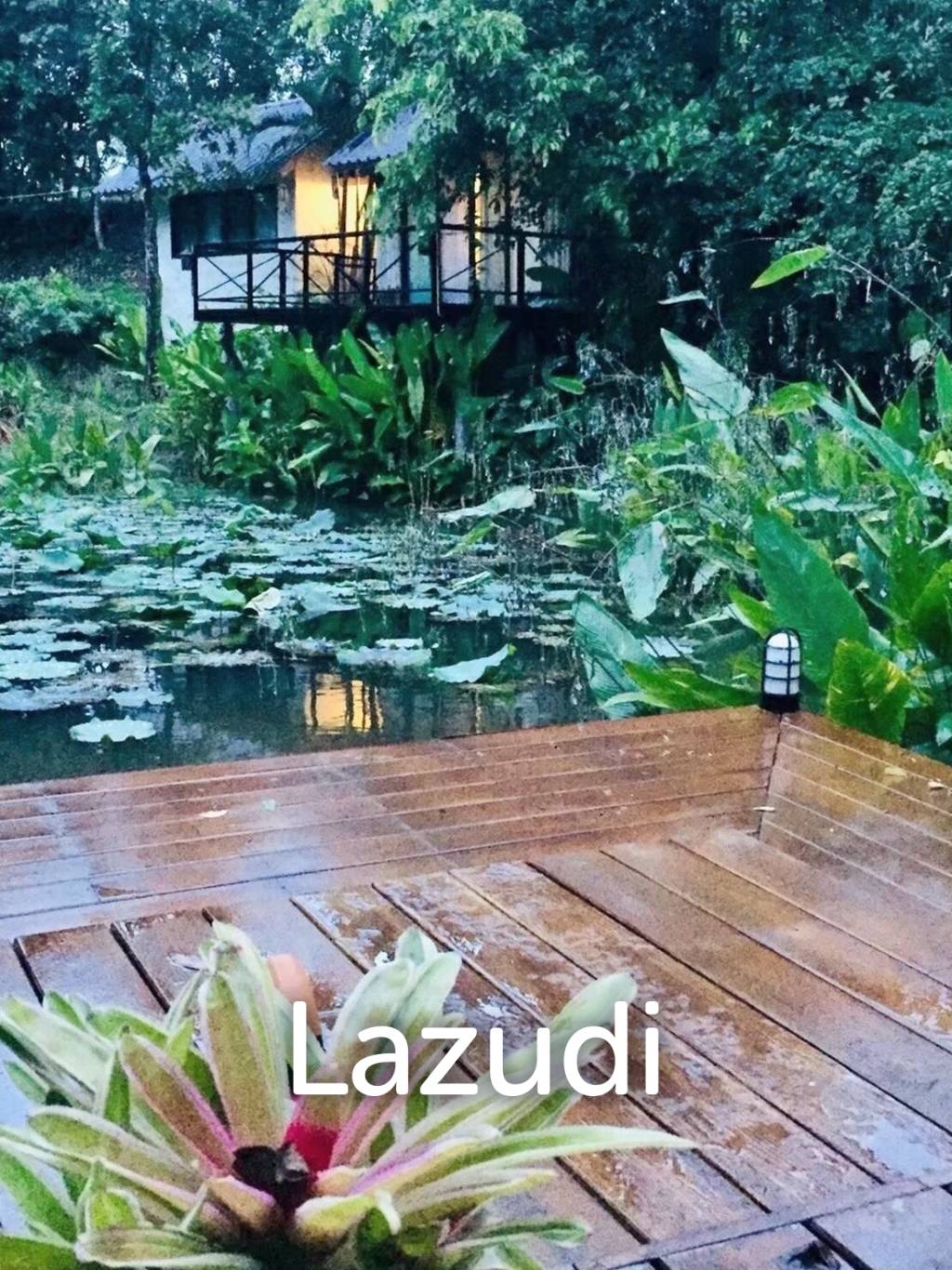 20 Rai Beautiful Land for Sale With Mountain View