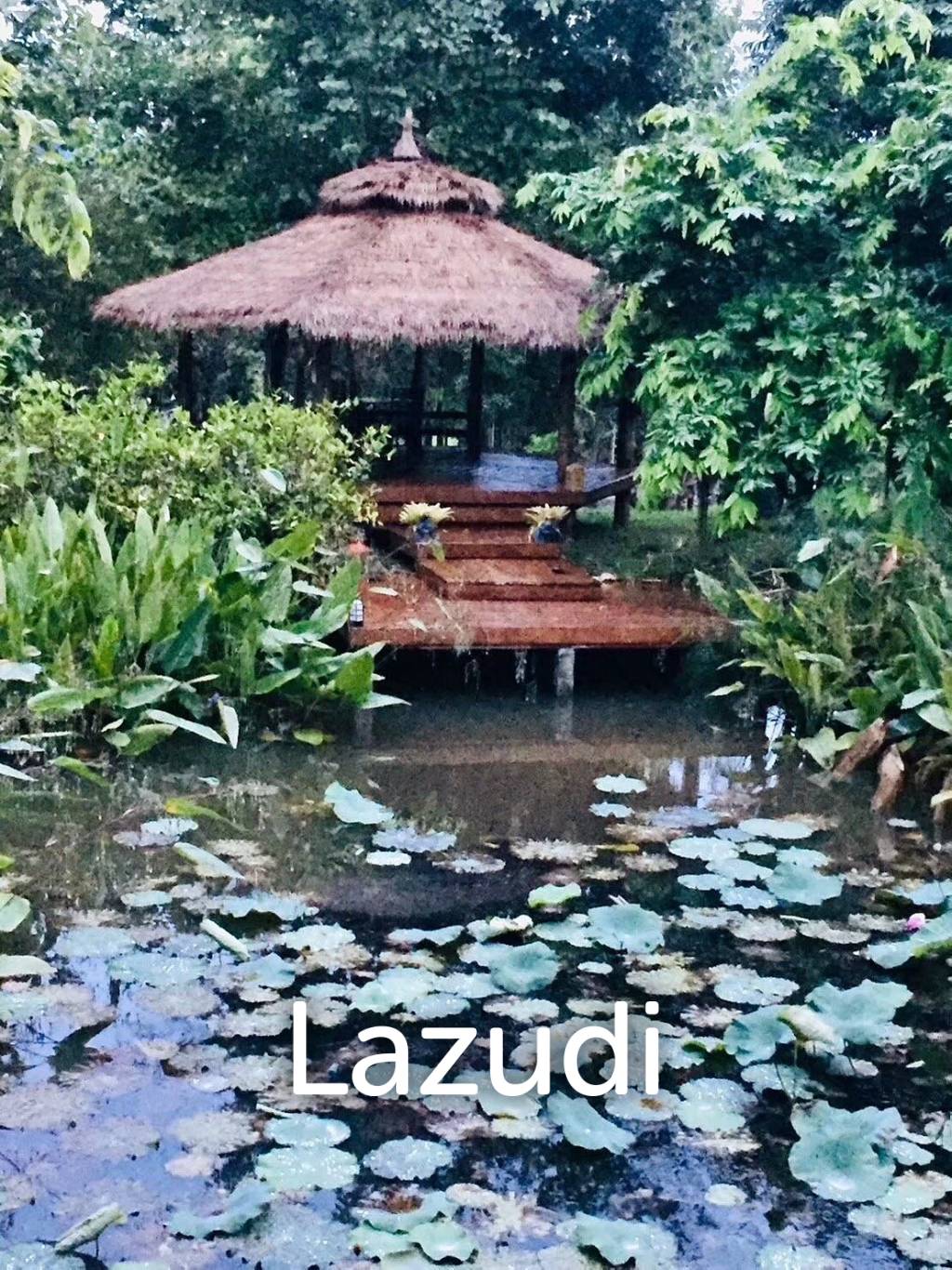20 Rai Beautiful Land for Sale With Mountain View