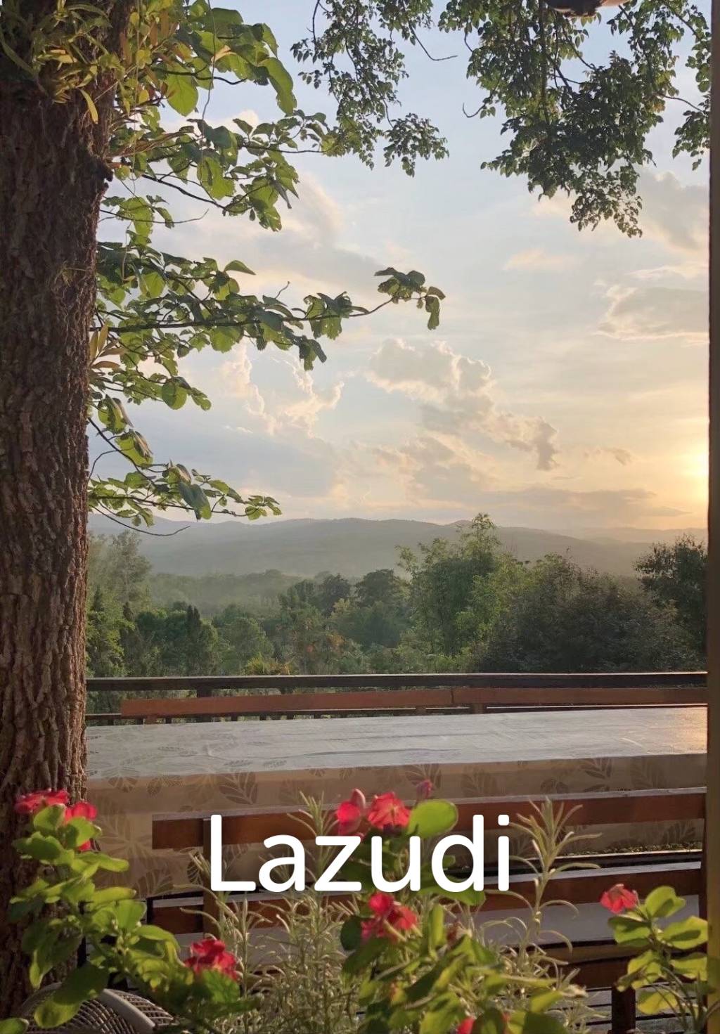 20 Rai Beautiful Land for Sale With Mountain View