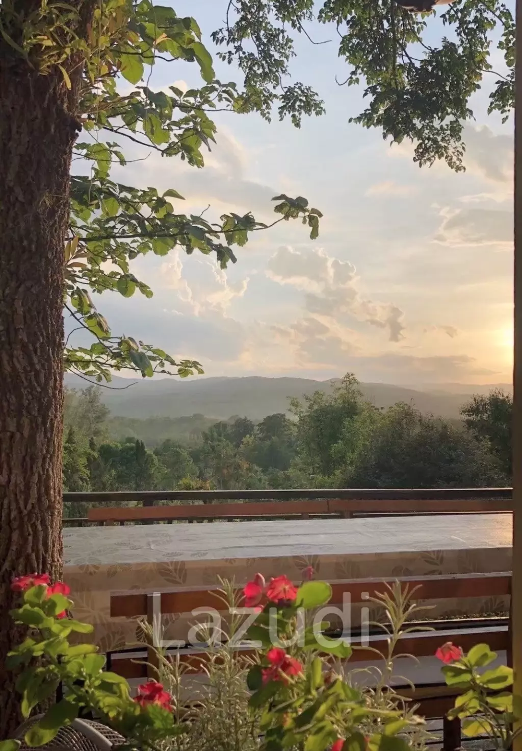 20 Rai Beautiful Land for Sale With Mountain View