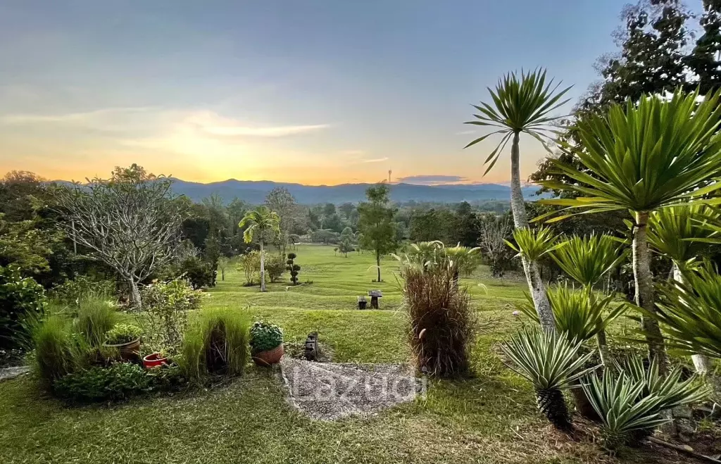 20 Rai Beautiful Land for Sale With Mountain View