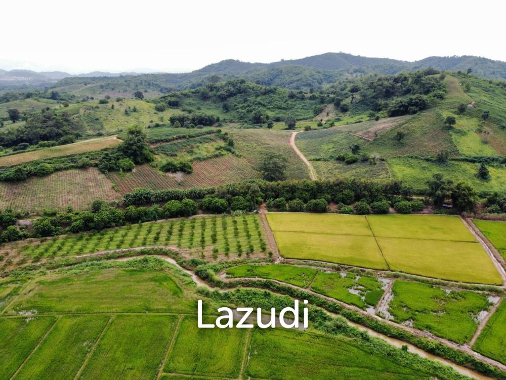 ขายที่ดินวิวภูเขา 258 ไร่ใกล้กับสามเหลี่ยมทองคำ