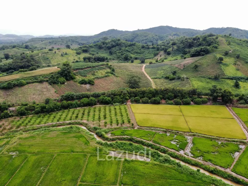 ขายที่ดินวิวภูเขา 258 ไร่ใกล้กับสามเหลี่ยมทองคำ