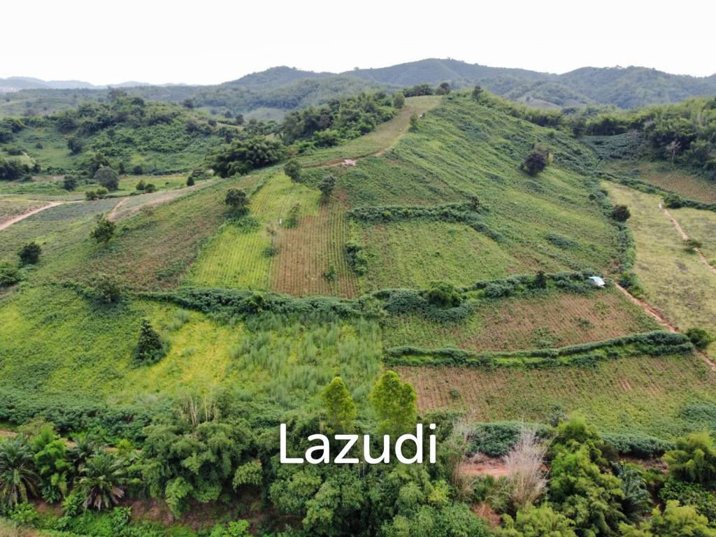 ขายที่ดินวิวภูเขา 258 ไร่ใกล้กับสามเหลี่ยมทองคำ