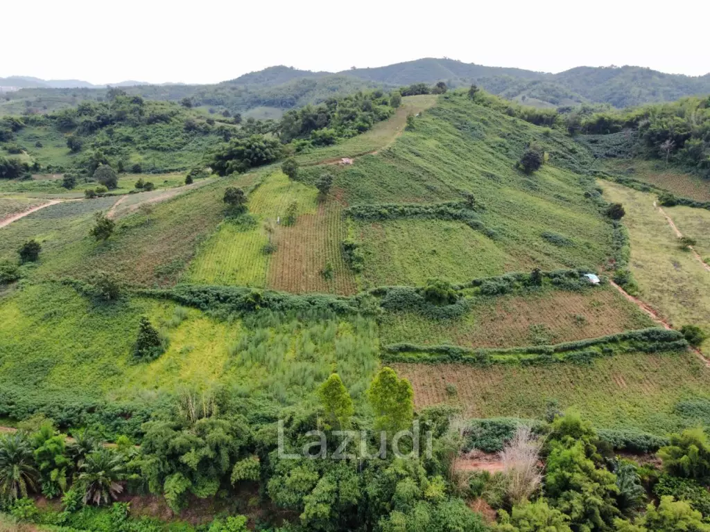 ขายที่ดินวิวภูเขา 258 ไร่ใกล้กับสามเหลี่ยมทองคำ