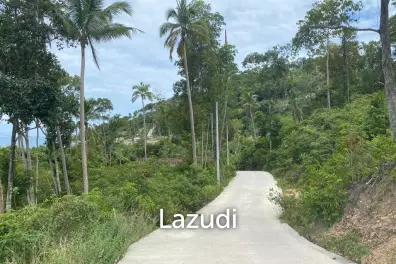 LAND FOR SALES 2 x 2 RAI 10 M/RAI