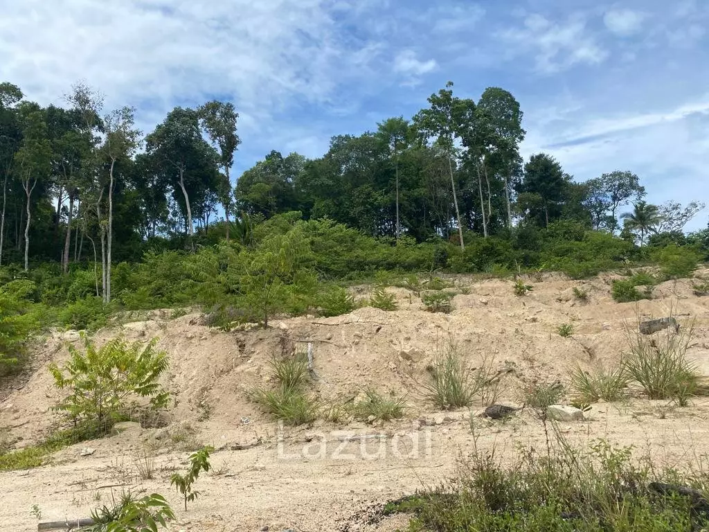 Land with Stunning Sea View 6,400 SQ.M