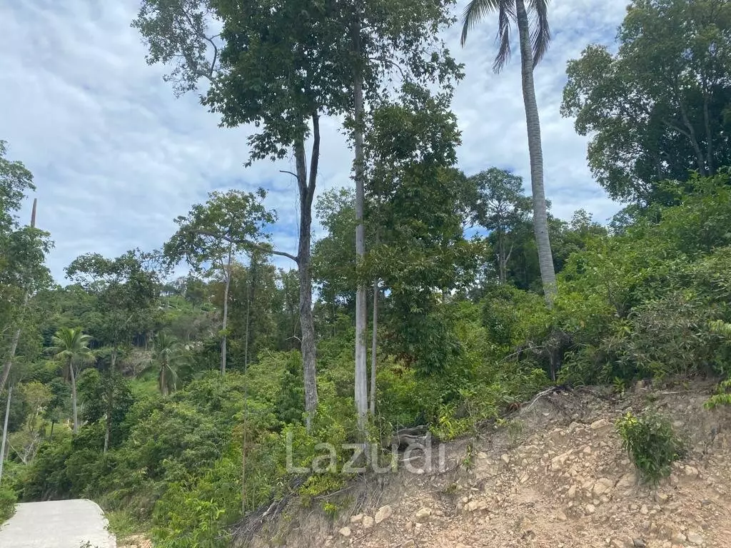 Land with Stunning Sea View 6,400 SQ.M