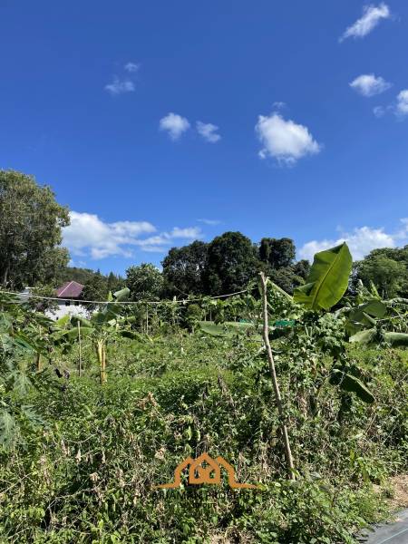 Lush Green Flat Land Plots in Bang Rak