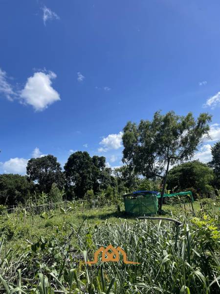 Lush Green Flat Land Plots in Bang Rak