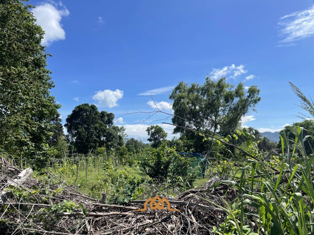 Lush Green Flat Land Plots in Bang Rak