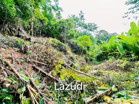 Seaview land for sale in Kata