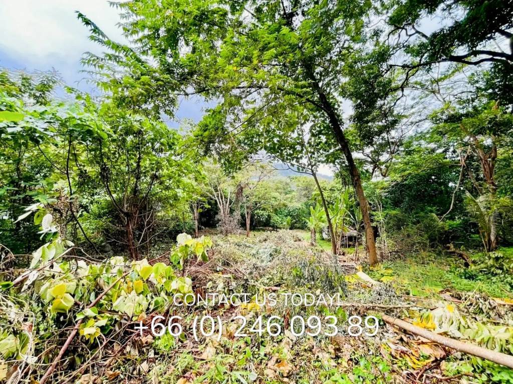 
        Seaview land for sale in Kata
      