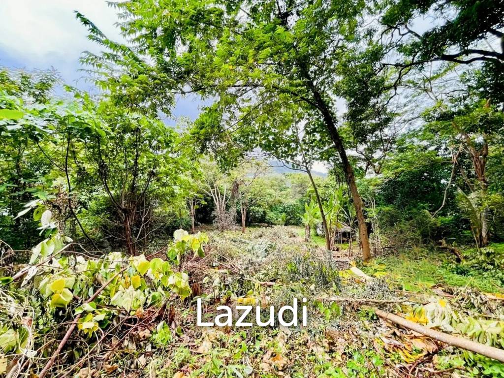 Seaview land for sale in Kata