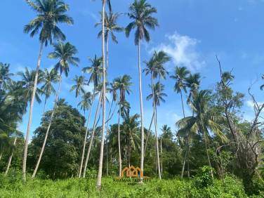 Prime 6 Rai Land Parcel for Sale