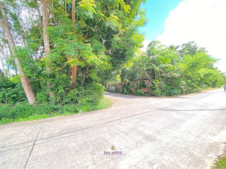 30,400 SQ.M Land for Sale on Coconut Island