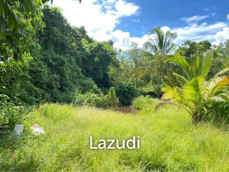 30,400 SQ.M Land for Sale on Coconut Island